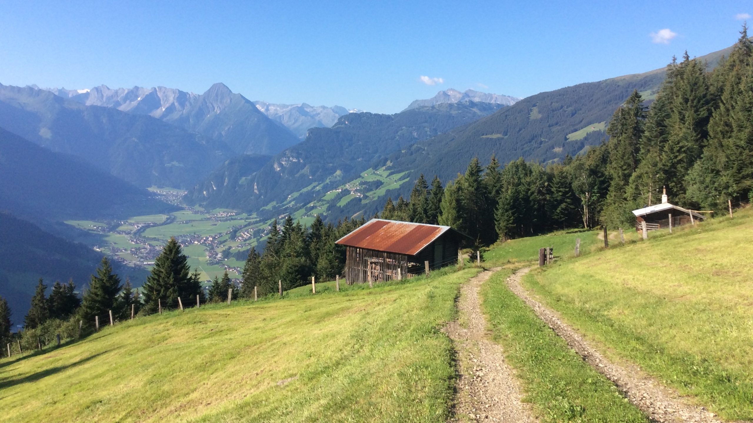 The pure idyll on the alpine pasture